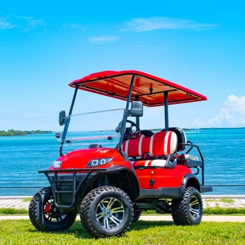 ICON-Golf-Cart-i40L-Gallery-2 ICON-Golf-Cart-i40L-Gallery-2